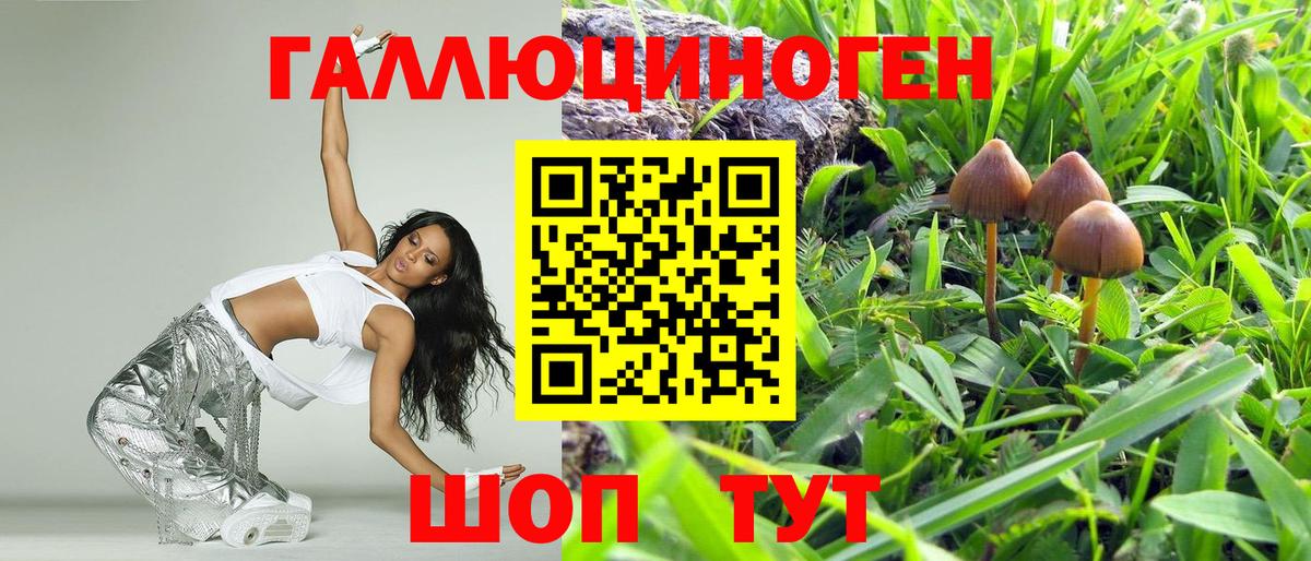 Галлюциногенные грибы MAGIC MUSHROOMS Севастополь